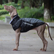 Top quality reflective luxury dog clothes warm with a fur collar™