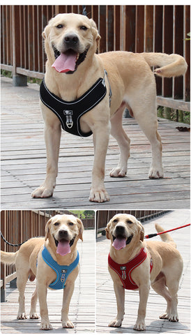 Amazon Top Seller Personalized Dog Harness No Pull Reflective Breath for Medium And Large Dogs™