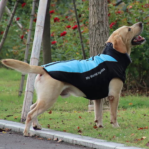 Top quality reflective luxury dog clothes warm with a fur collar™