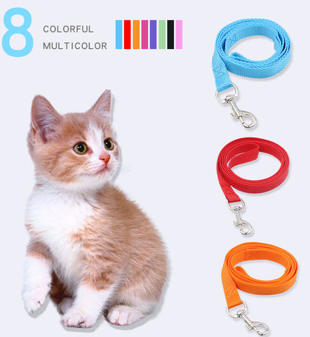 Colorful nylon dog leash lead™