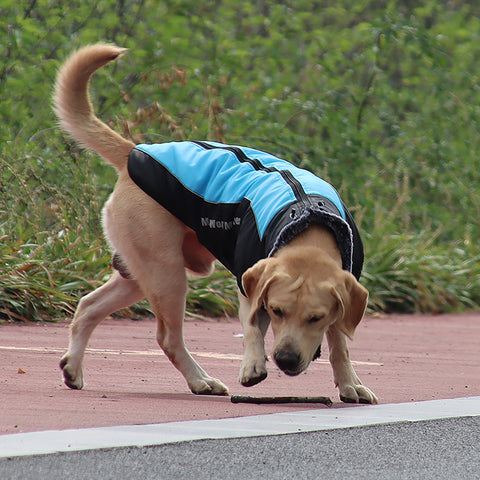 Top quality reflective luxury dog clothes warm with a fur collar™