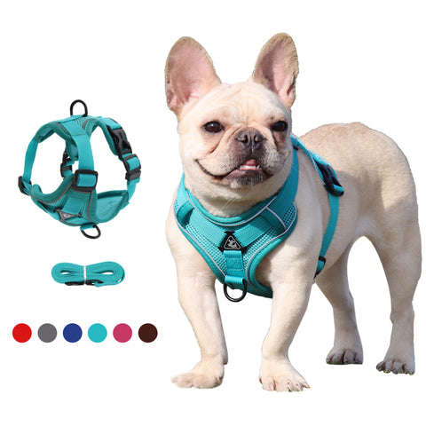 Fashion Pet Vest type traction chest strap cat dog adjustable retractable traction rope walking dog rope collar ™