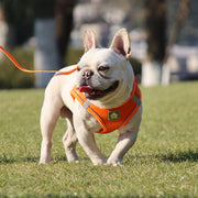 Hot Selling Dog Products Wholesale Breathable Reflective Adjustable Dog Harness Set™