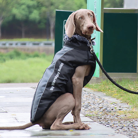 Top quality reflective luxury dog clothes warm with a fur collar™