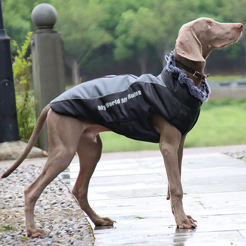Top quality reflective luxury dog clothes warm with a fur collar™